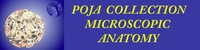 POJA Collection Microscopic Anatomy